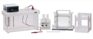 變性梯度凝膠電泳系統(tǒng) JY-TD-331