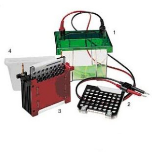 濕轉(zhuǎn)電泳儀 Mini TBC