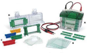 凝膠垂直電泳儀 Mini P-4