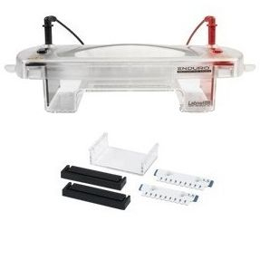 Enduro水平電泳系統(tǒng) E1010