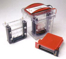 垂直印跡電泳 Hoefer miniVE