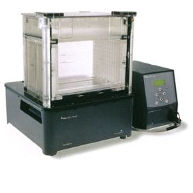 大規(guī)模垂直電泳系統(tǒng) Ettan DALT 12