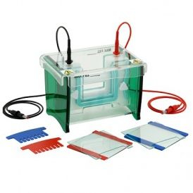 雙板你垂直電泳 TV100