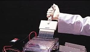 瓊脂糖凝膠電泳系統(tǒng) Agaro-PowerTM