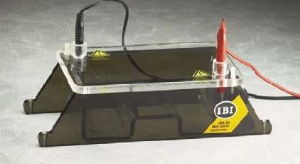 Mini Gel-O潛水電泳系統(tǒng) JSB-30