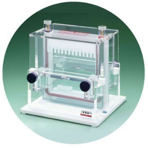 中型垂直電泳槽 AE-6200