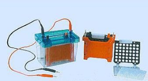 迷你轉(zhuǎn)印電泳儀 DYCZ-40D