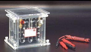 轉(zhuǎn)印電泳儀 DYCZ-40B