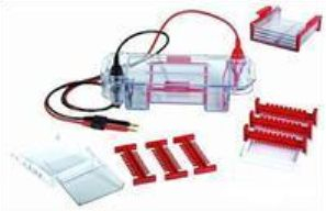 小號(hào)水平電泳槽 HE-90