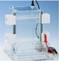 高度可調(diào)垂直電泳槽 28570-xx