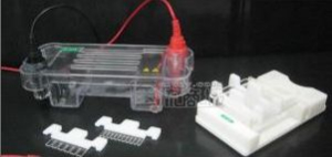 迷你瓊脂糖水平電泳槽 HT-Sub01