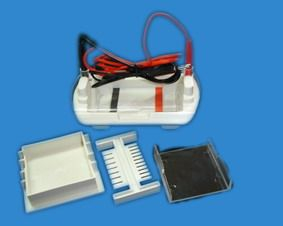 迷你型瓊脂糖水平電泳槽 DYCP-II