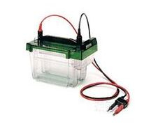 中型垂直電泳槽Criterion Cell 165-6001