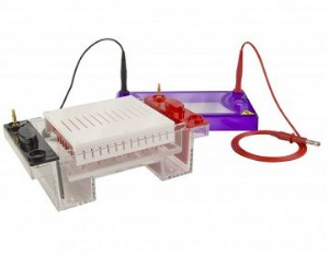 96孔水平電泳儀 MSMIDI96系列