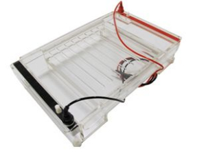 水平電泳槽 Hini364