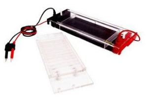 水平電泳槽 HD-3546