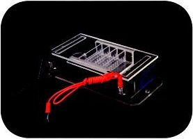 微型水平電泳槽 DY-31