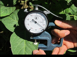 葉片厚度測(cè)定儀 HM-S05